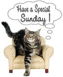 HAPPYSUNDAY.jpg image by hard_driven